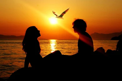 Romantic Couple, People, 2560x1600 HD Wallpapers And FREE Stock Photo