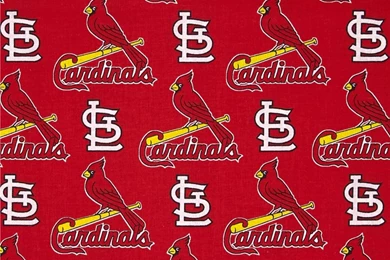 MLB Cotton Broadcloth St. Louis Cardinals Red/Yellow   Discount ...
