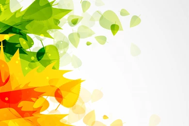 Autumn Leaf Backgrounds   Wallpapers Cave