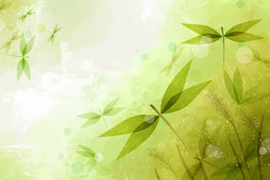 21+ Leaf Backgrounds, Wallpapers, Images