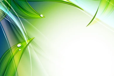 Exquisite Leaf Backgrounds   Free Vector Download