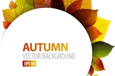 Exquisite Leaf Backgrounds   Free Vector Download