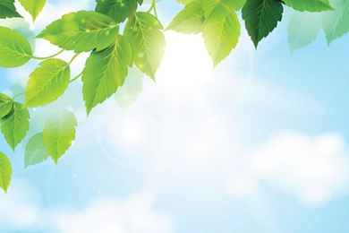 Leave Backgrounds   ImgMob