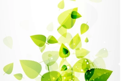 Free Beautiful Green Leaf Backgrounds For PowerPoint   Nature PPT ...