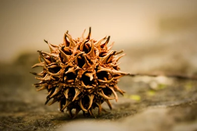 All Alone HD Desktop Wallpapers : High Definition : Fullscreen : Mobile