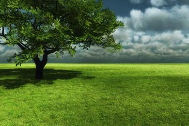 Wapking Mobile Wallpapers