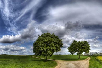 HD Desktop Wallpapers 1600x900 Best HD Desktop Wallpapers 1080p HD ...