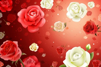 Red Flower Wallpapers