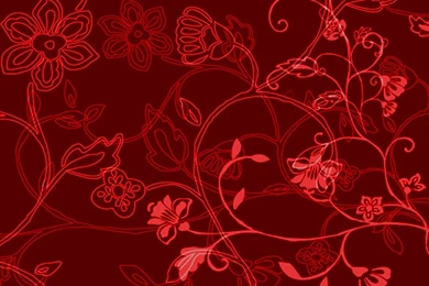 Red Flower Wallpapers Collection (39+)