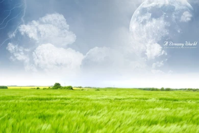 A Dream World Day Wallpapers