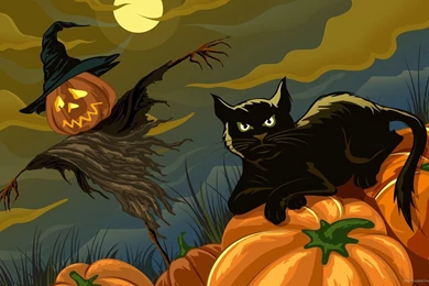 Download 1920x1080 Halloween Cat Wallpapers