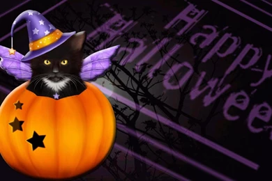 Halloween Cat Wallpapers   (