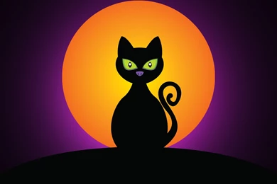 Download Wallpapers 3840x2160 Cat, Black, Halloween, Moon ...