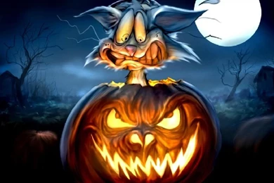 Halloween Cat In Pumpkin Wallpapers HD. Free Desktop Backgrounds ...