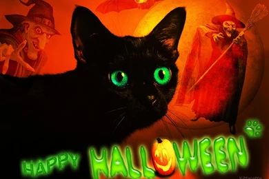 Happy Halloween Cat ??? ? HD Desktop Wallpapers : Widescreen : High ...