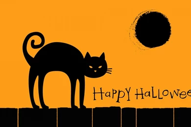 Black Cat, Happy Halloween 1600x900   Wallpapers   ImgPrix