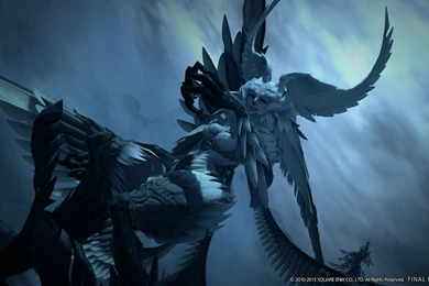 Final Fantasy XIV: A Realm Reborn   Review