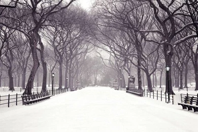 Winter Scenes Pictures