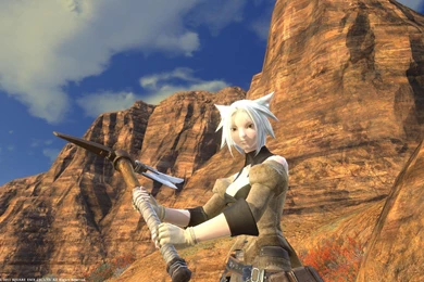 Final Fantasy Xiv:a Realm Reborn >> HD Wallpaper, Get It Now!