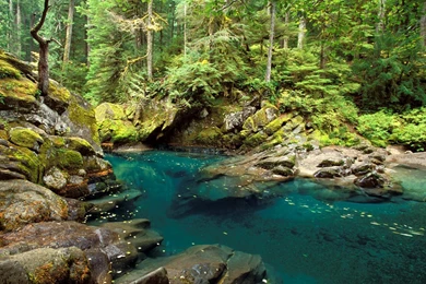 Free Beautiful Nature Wallpapers – HD Wallpapers Free Download