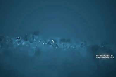 Sugar Macro Wallpapers By Marius s On DeviantArt