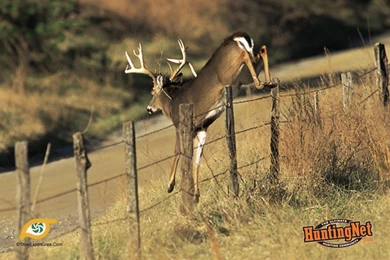 Hunting Desktop Wallpapers   Images   Tbwnz.com