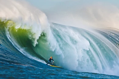 202 Surfing HD Wallpapers