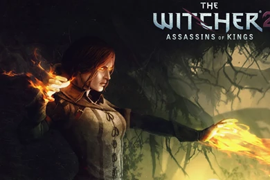 The Witcher 2   Wallpaper.