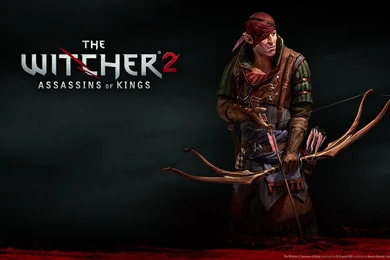 Download The Witcher 2 Wallpapers Stock Pictures