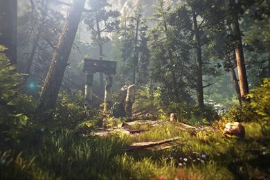 The Witcher 2 Assassins Of Kings, Forest, Nature Wallpapers HD ...