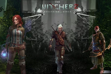 The Witcher 2 Wallpapers By DiaGK On DeviantArt