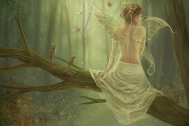 354 Fairy HD Wallpapers