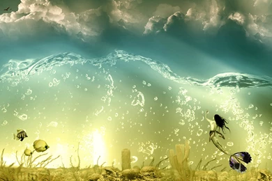 Mermaid Wallpaper Backgrounds