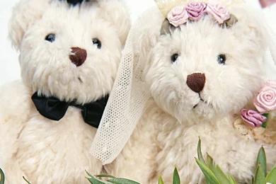 Piper Perabo Gallery: Wallpapers Teddy Bear