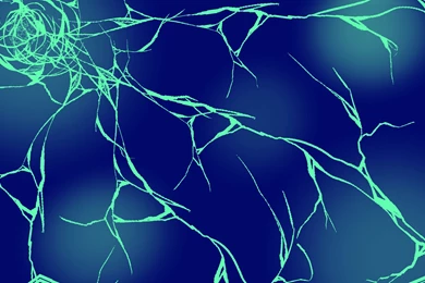 Cracked Screen Wallpapers Perfect C7Y » WALLPAPERUN.COM