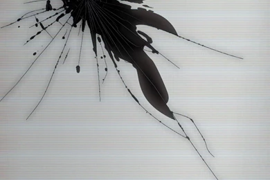 Cracked Screen Wallpapers Awesome B2X » WALLPAPERUN.COM