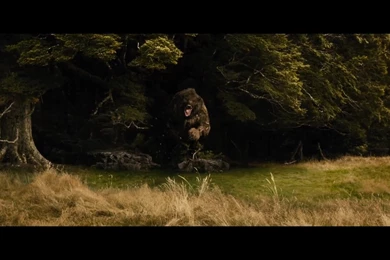 Smaug & Bilbo Wallpapers   The Hobbit: The Desolation Of Smaug ...