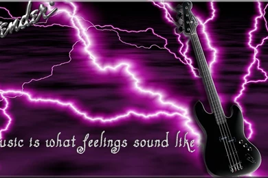 Fender Black Bass Guitar   (