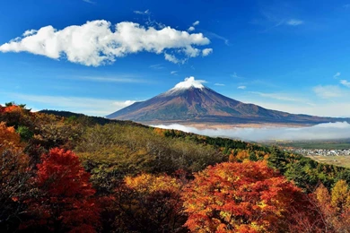 Wallpapers HD Mount Fuji Japan   HD Wallpapers Expert