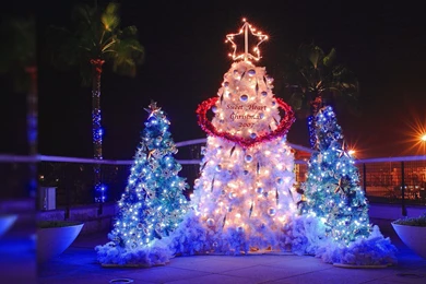 Free Live Christmas Wallpapers