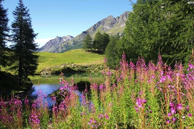 YouWall   Beautiful Landscape Wallpapers   Wallpaper,wallpapers ...