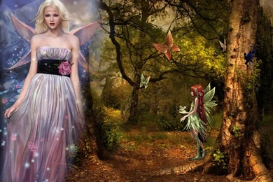 Fairy Wallpapers