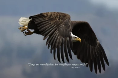 Inspirational Wallpapers And Quotes ~~~