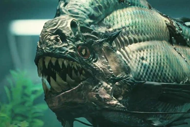 Piranha 3D Wallpapers   (1920x1200) : MovieWallpapers101.com
