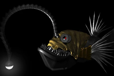 3d Piranha Fish HD Wallpapers