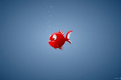 Piranha Wallpapers