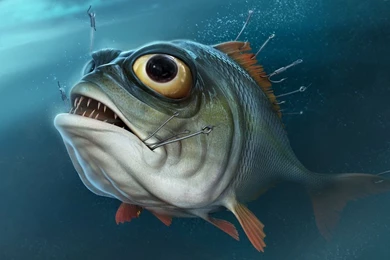 Download Piranha In Aquarium 3D UHD For Android, Piranha In ...