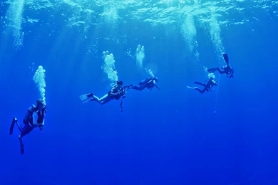 Scuba Diving Wallpapers