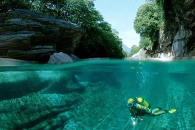 Landscapes Nature Forest Lakes Scuba Diving View Wallpapers