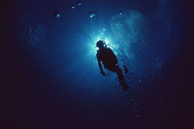 Scuba Diving Wallpapers   Wallpapers Cave